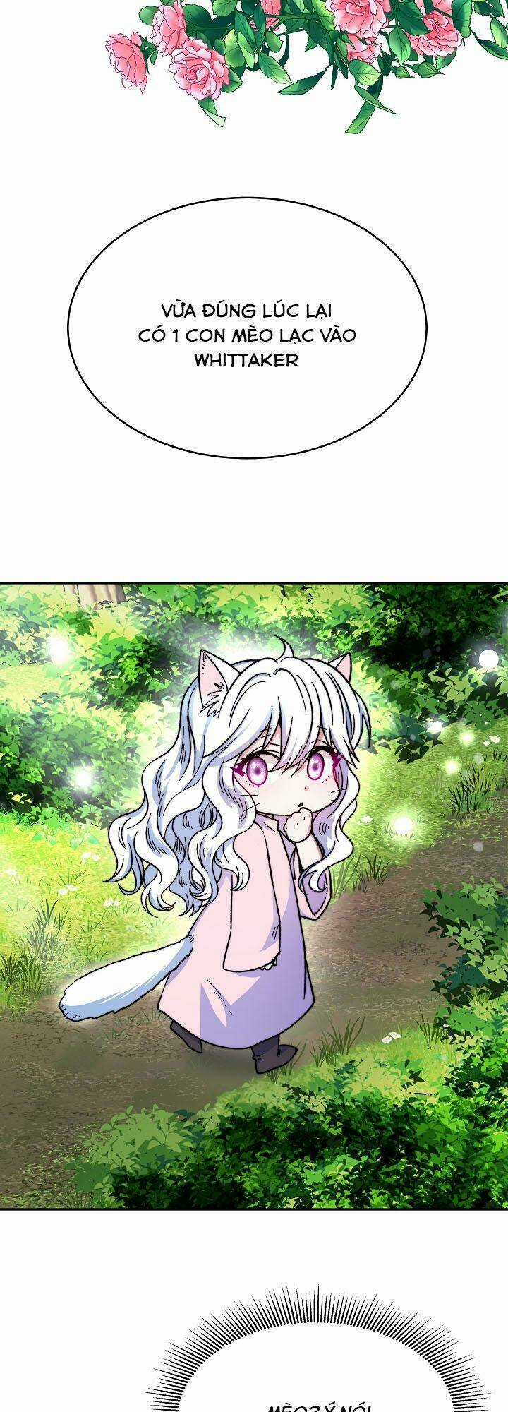 Nàng Evangeline Chapter 13 trang 31