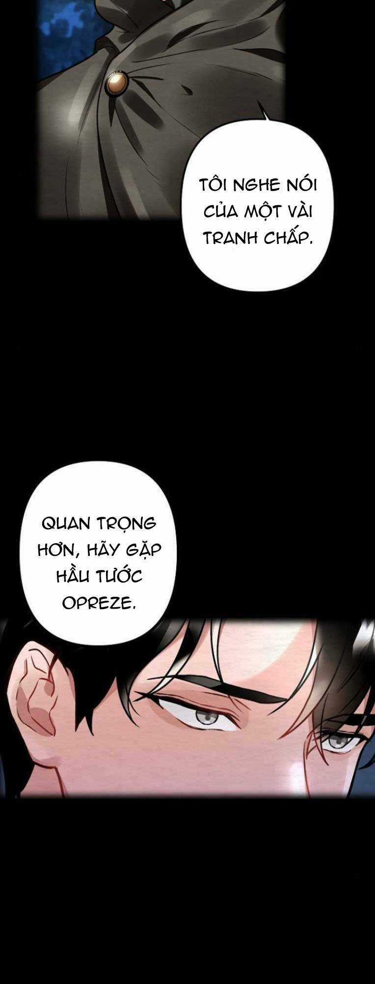 Nàng Hậu Của Tro Tàn Chapter 3 trang 27