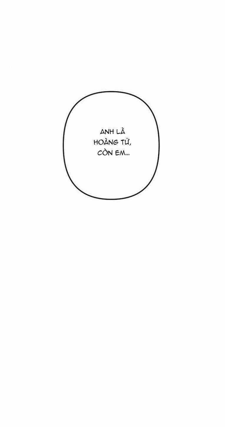 Nàng Hậu Của Tro Tàn Chapter 4 trang 55