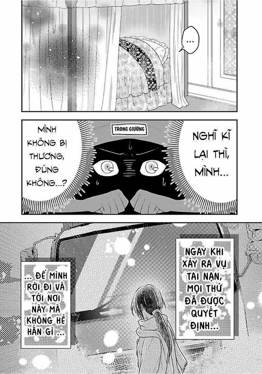 Nàng Lọ Lem Giả Mạo Chapter 0 trang 30