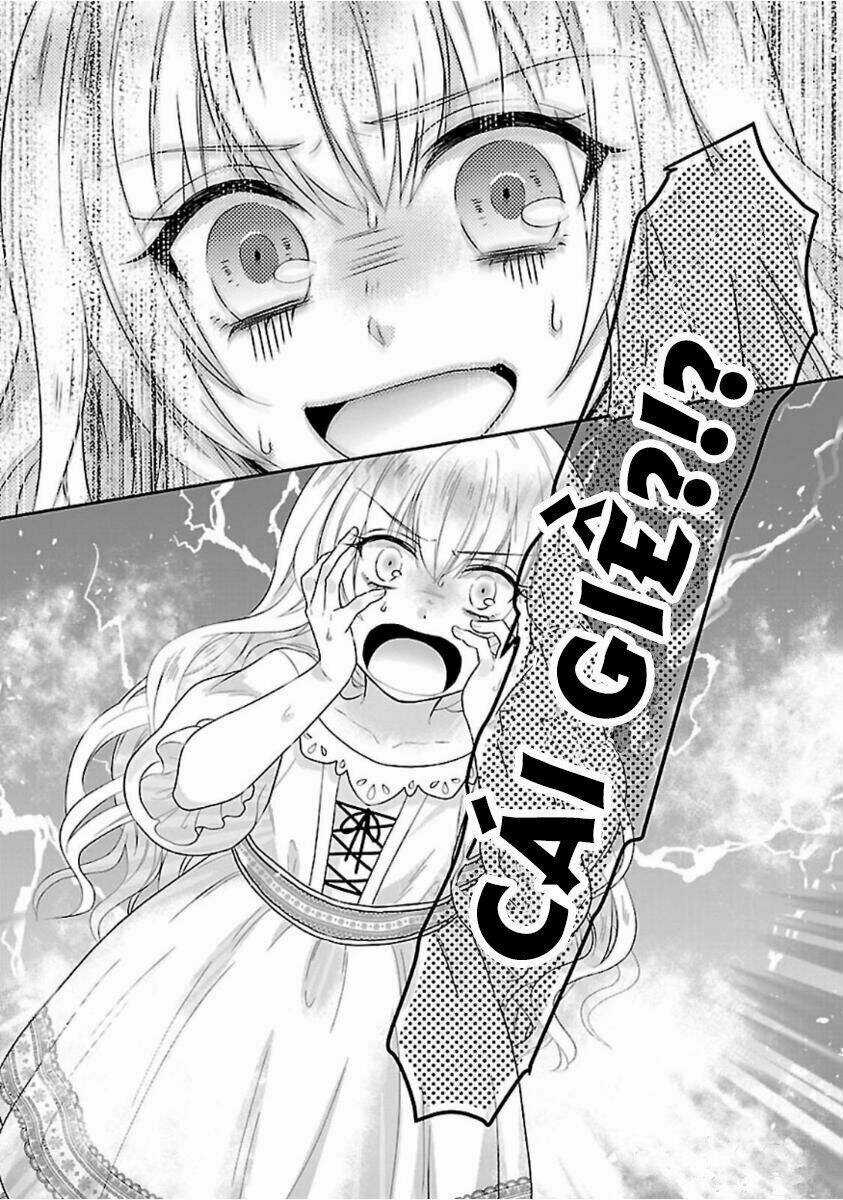 Nàng Lọ Lem Giả Mạo Chapter 0 trang 35