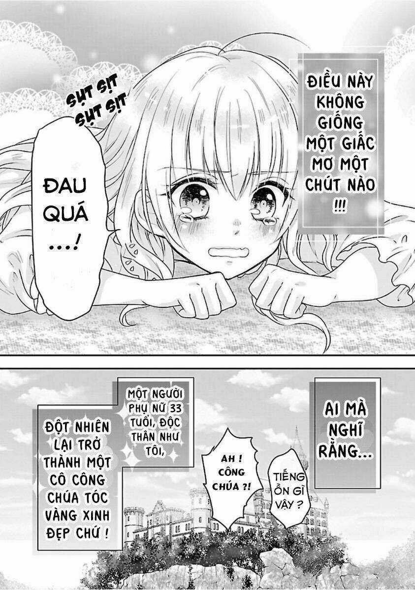 Nàng Lọ Lem Giả Mạo Chapter 0 trang 37