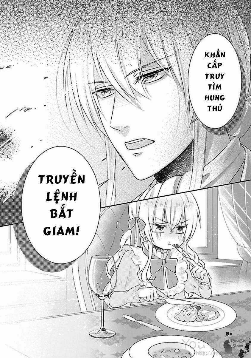 Nàng Lọ Lem Giả Mạo Chapter 1 trang 27