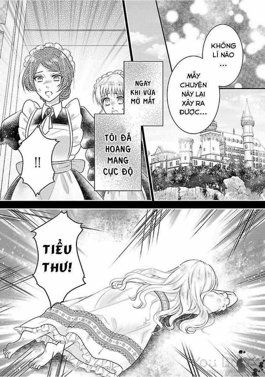 Nàng Lọ Lem Giả Mạo Chapter 1 trang 6