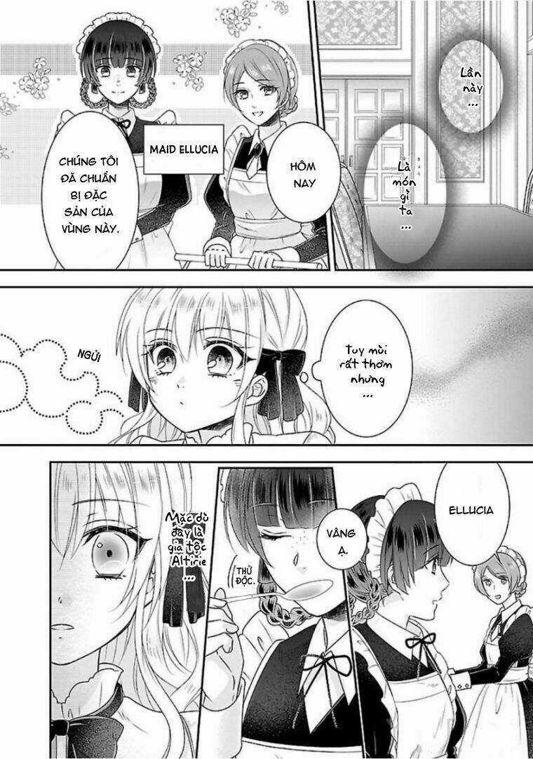 Nàng Lọ Lem Giả Mạo Chapter 2 trang 11