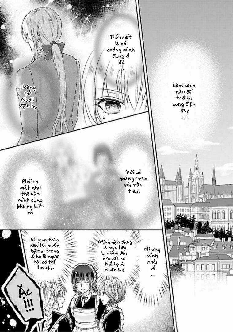 Nàng Lọ Lem Giả Mạo Chapter 2 trang 14