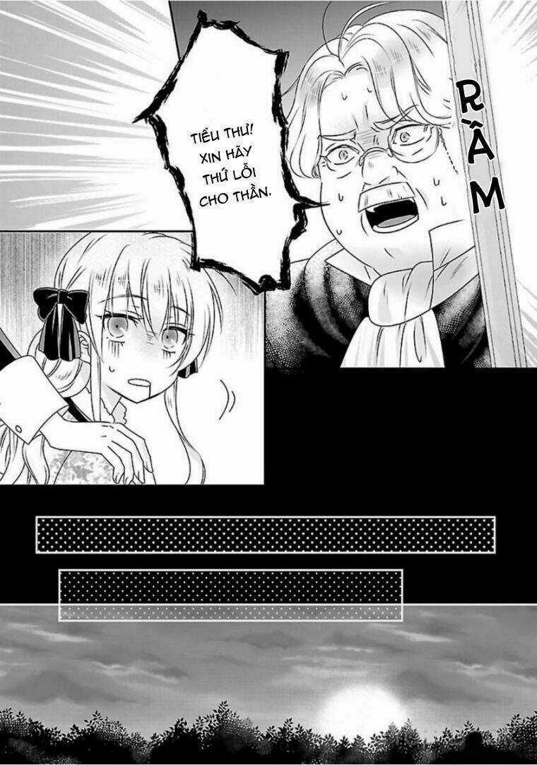 Nàng Lọ Lem Giả Mạo Chapter 2 trang 16