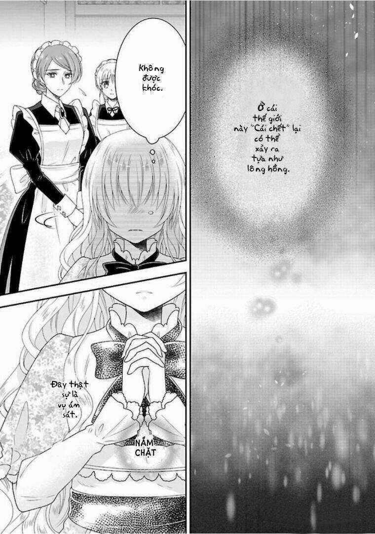 Nàng Lọ Lem Giả Mạo Chapter 2 trang 24