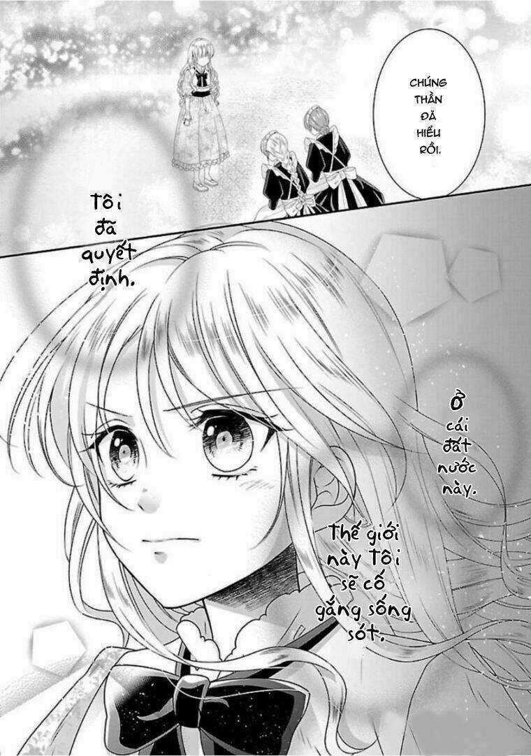 Nàng Lọ Lem Giả Mạo Chapter 2 trang 27