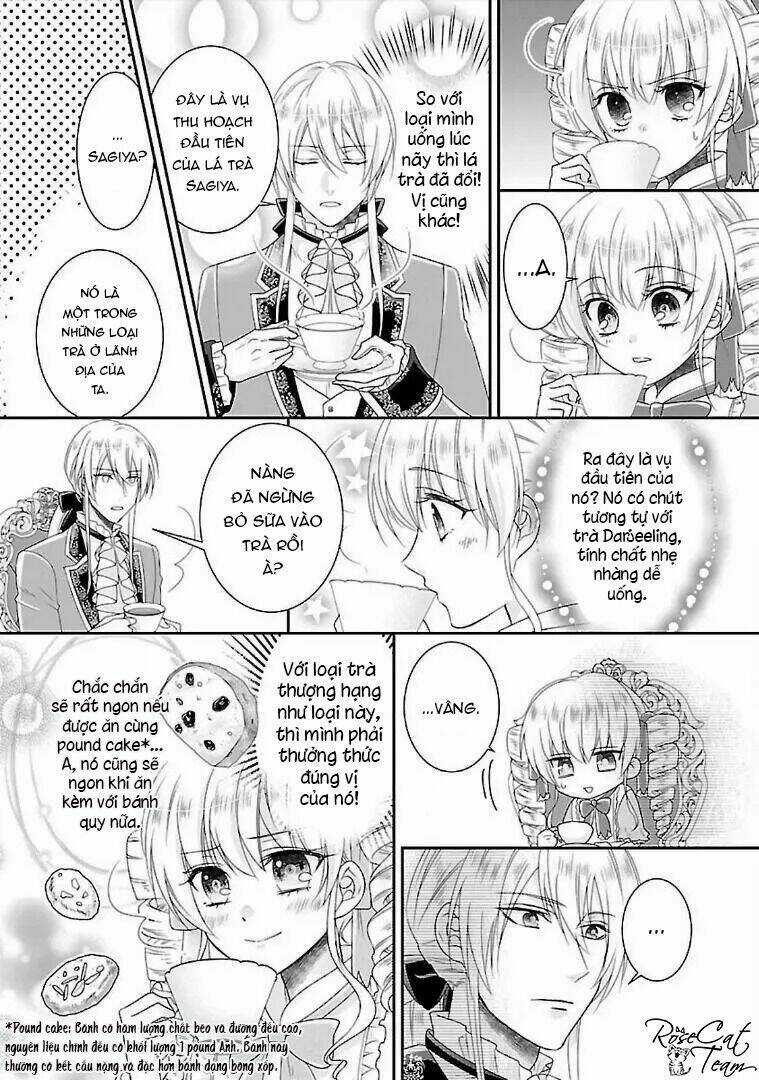 Nàng Lọ Lem Giả Mạo Chapter 3 trang 23