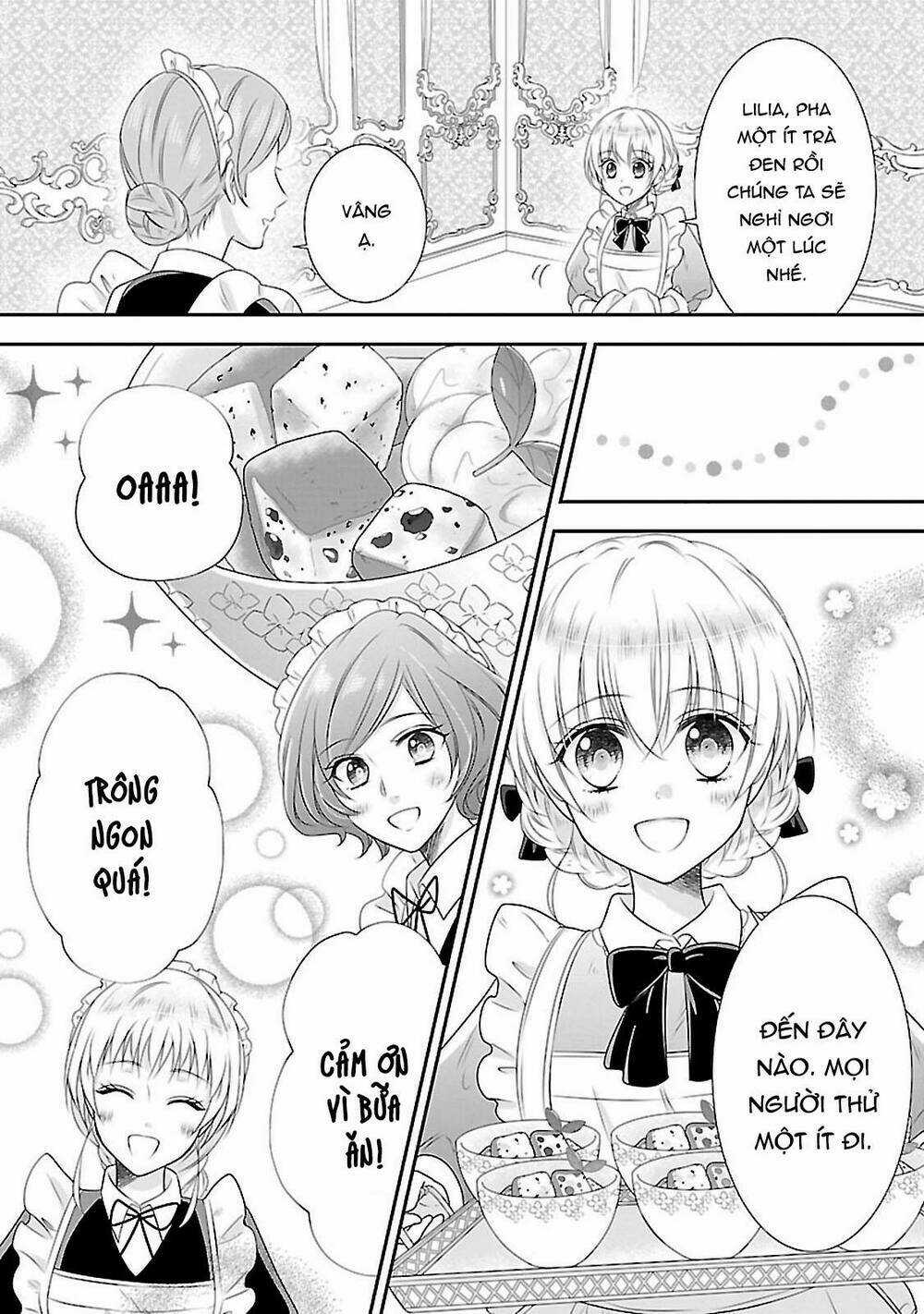 Nàng Lọ Lem Giả Mạo Chapter 6 trang 17