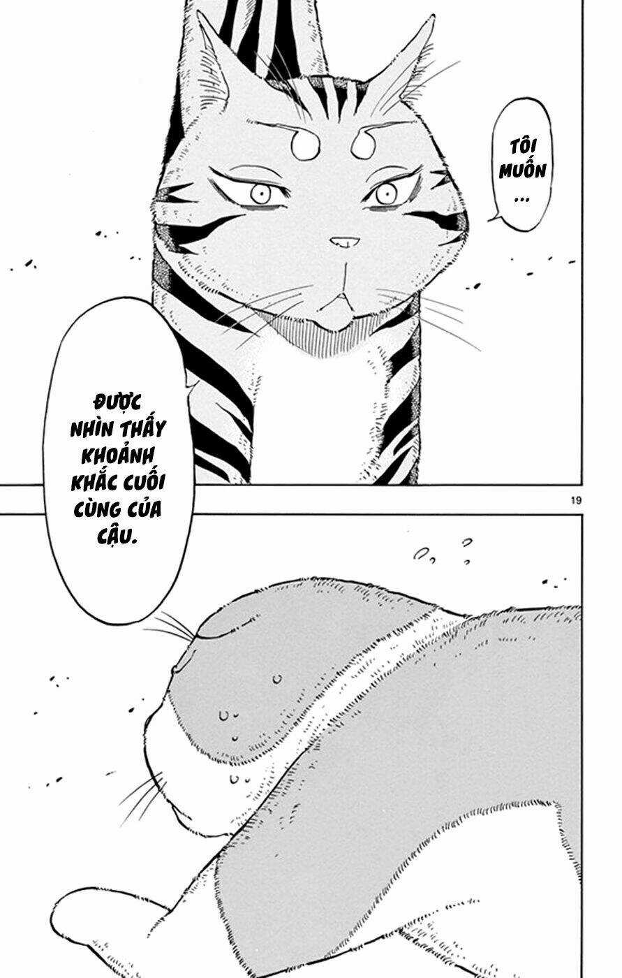 Năng lực quay ngược thời gian của Saike Chapter 17 trang 19