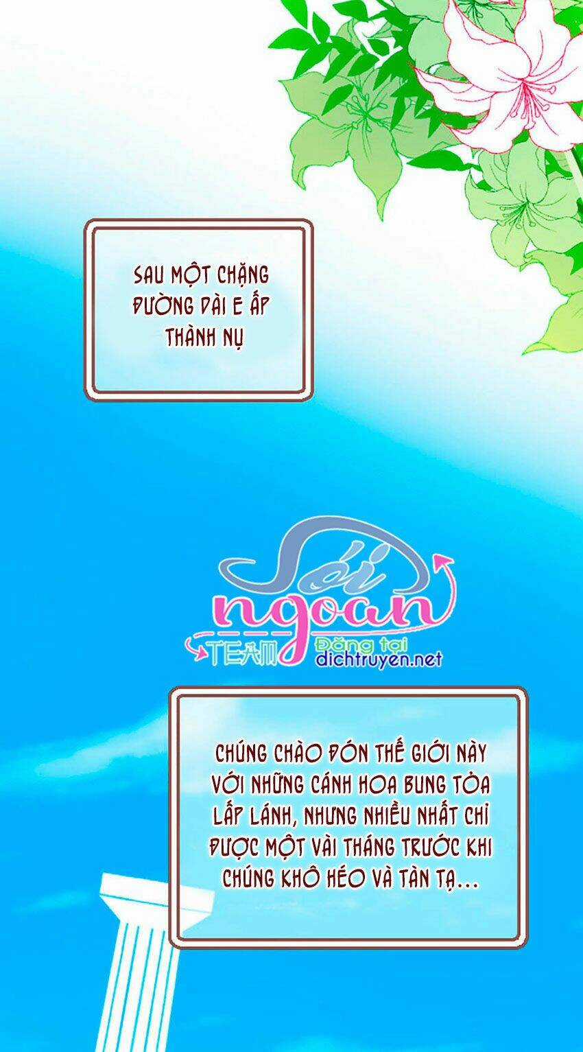 Nàng Persephone và chàng Hades Chapter 1 trang 2