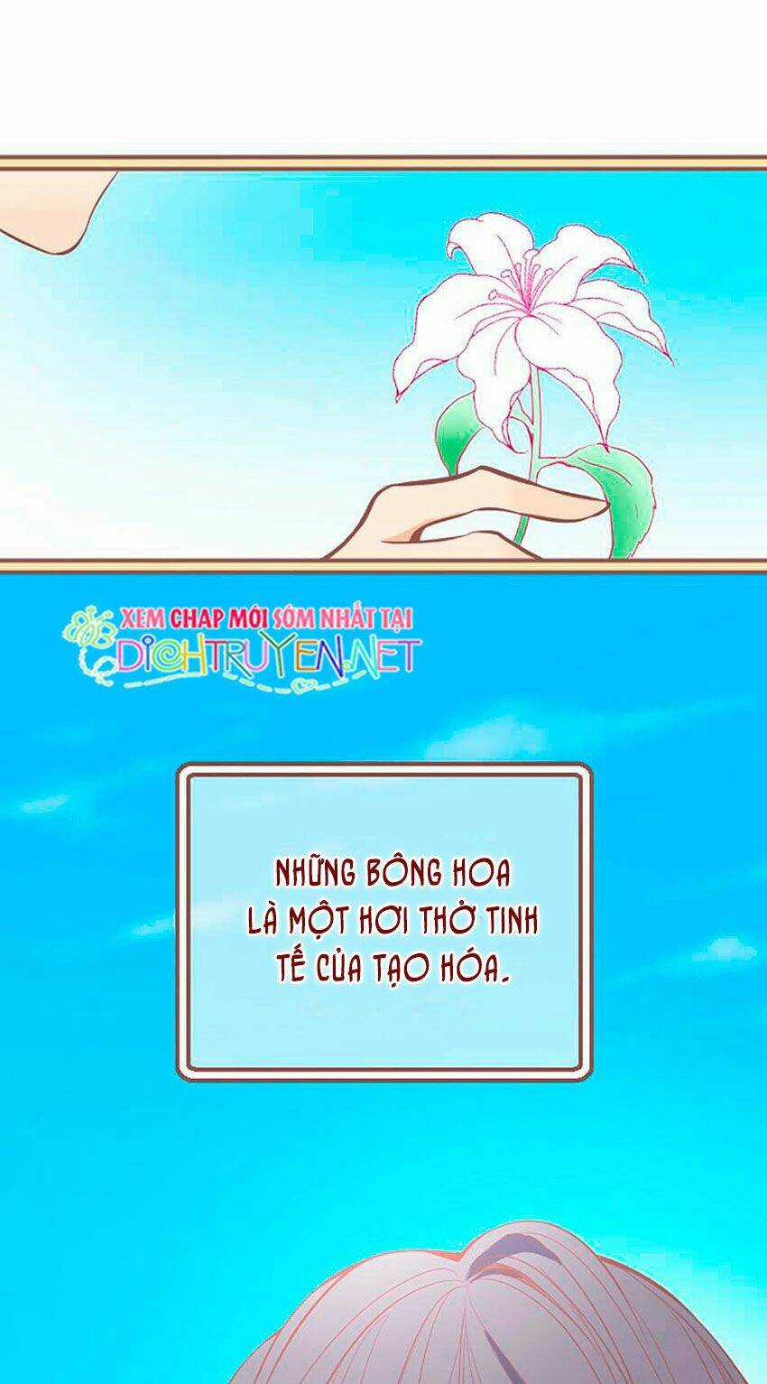 Nàng Persephone và chàng Hades Chapter 1 trang 5