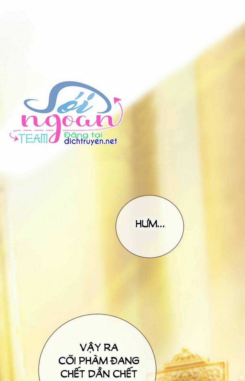 Nàng Persephone và chàng Hades Chapter 10 trang 15