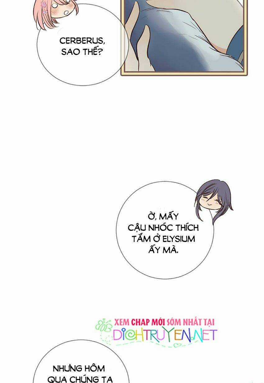 Nàng Persephone và chàng Hades Chapter 11 trang 12