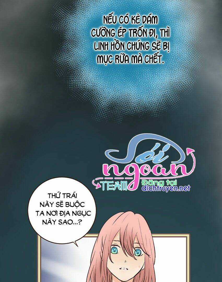 Nàng Persephone và chàng Hades Chapter 12 trang 62