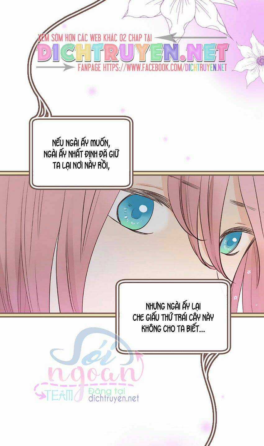 Nàng Persephone và chàng Hades Chapter 13 trang 17