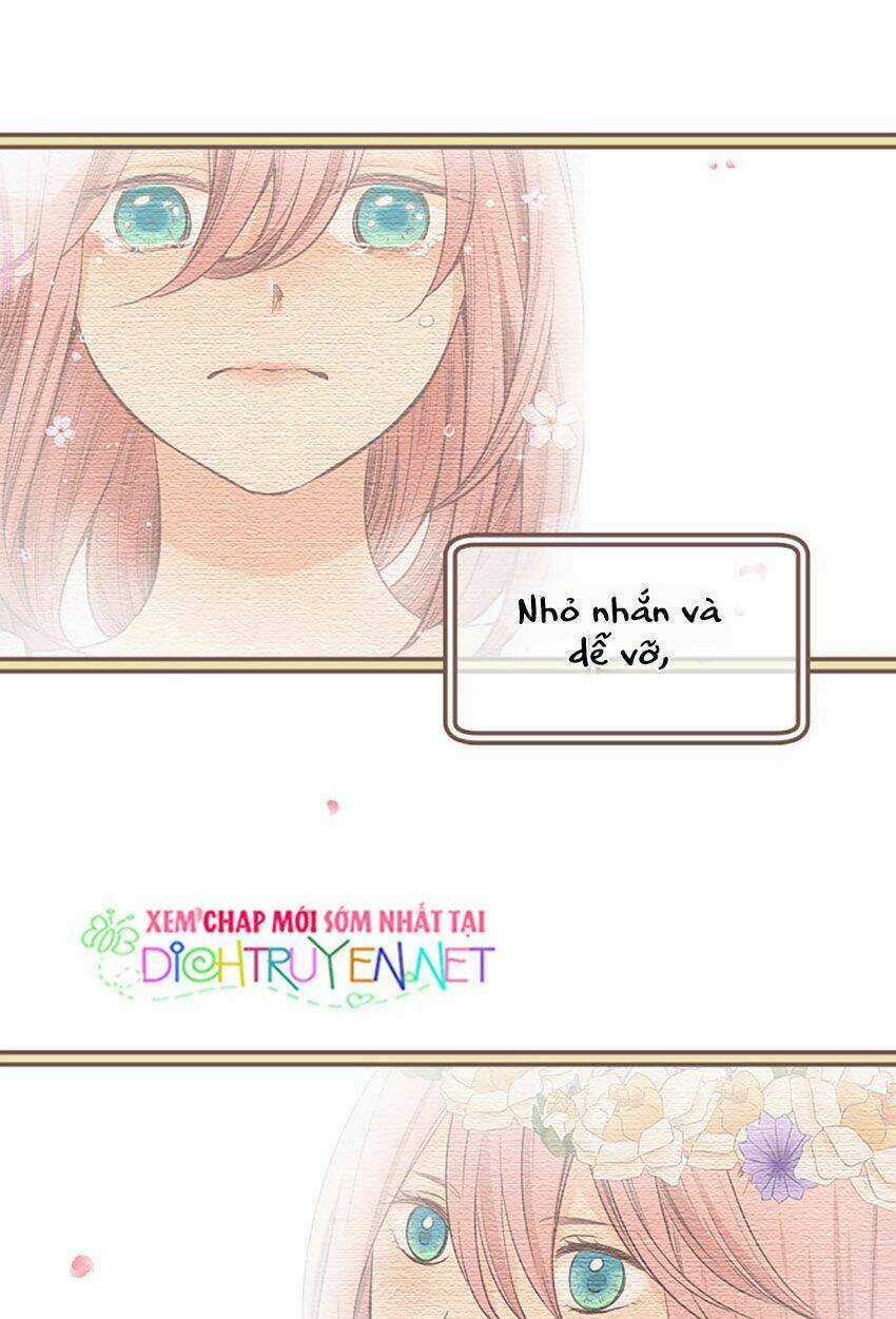 Nàng Persephone và chàng Hades Chapter 15 trang 11