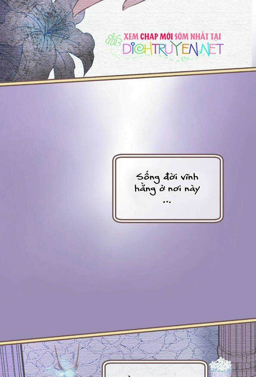 Nàng Persephone và chàng Hades Chapter 15 trang 7