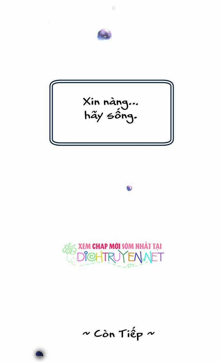 Nàng Persephone và chàng Hades Chapter 18 trang 49