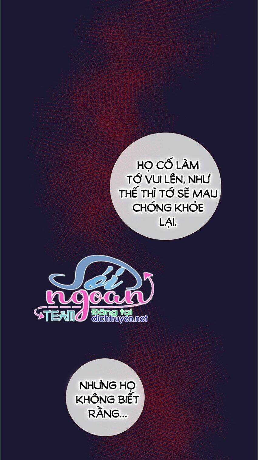 Nàng Persephone và chàng Hades Chapter 19 trang 43