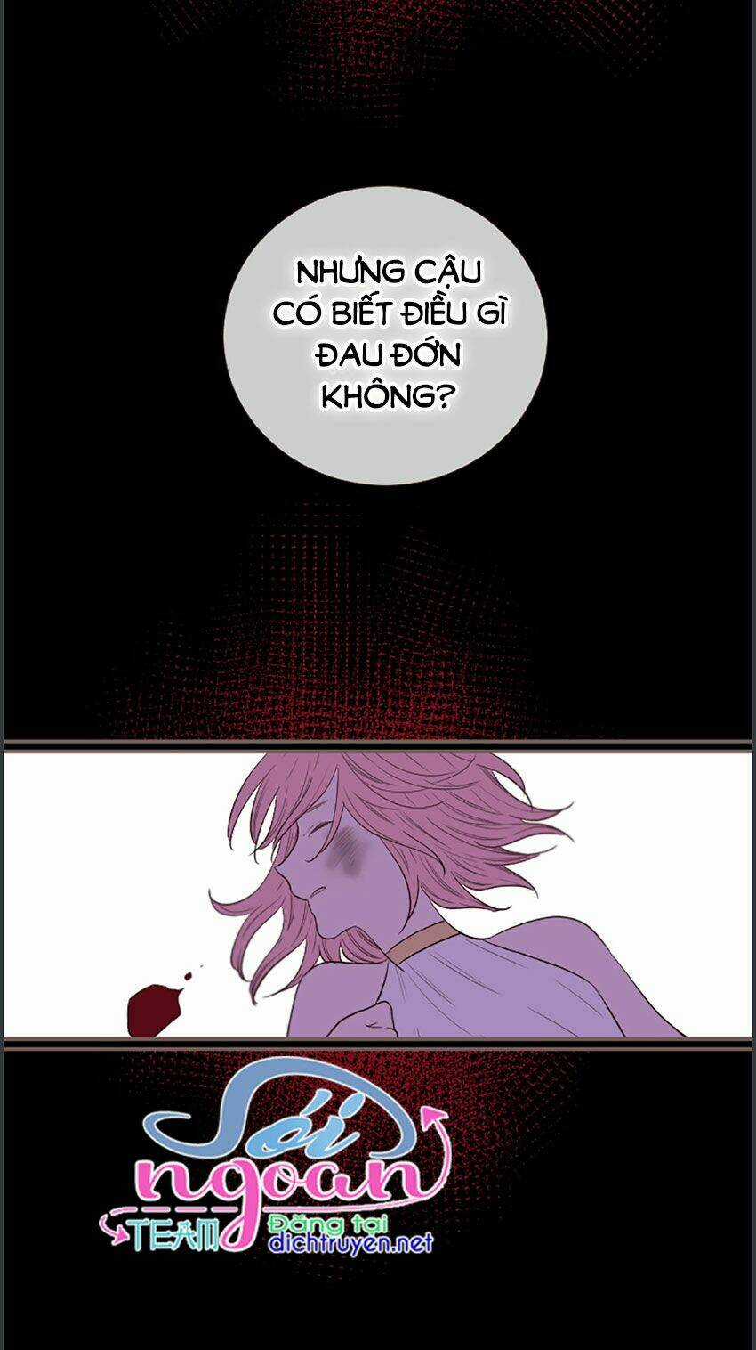 Nàng Persephone và chàng Hades Chapter 19 trang 49