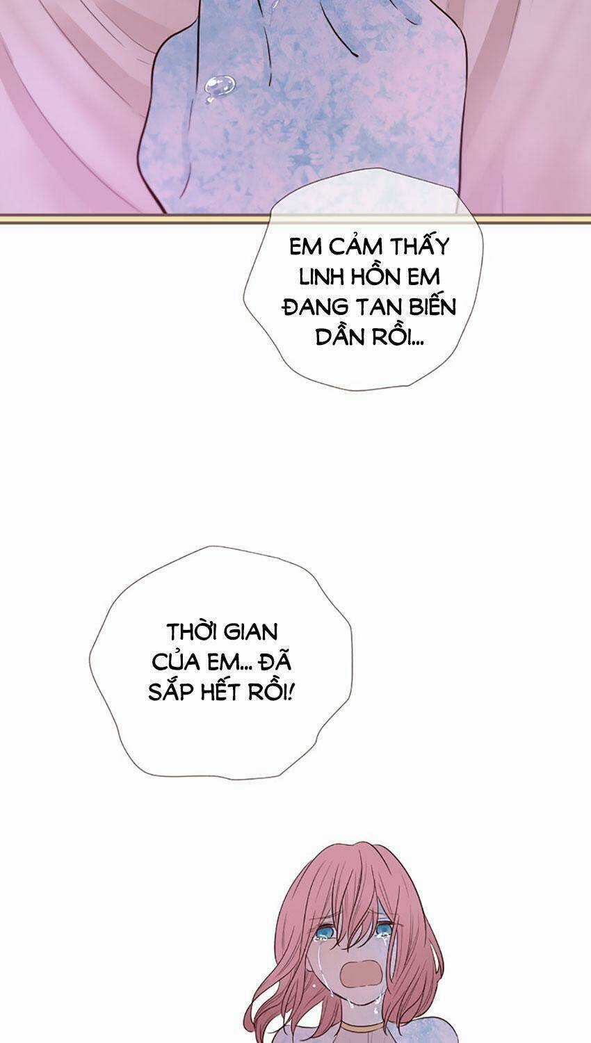 Nàng Persephone và chàng Hades Chapter 24 trang 11