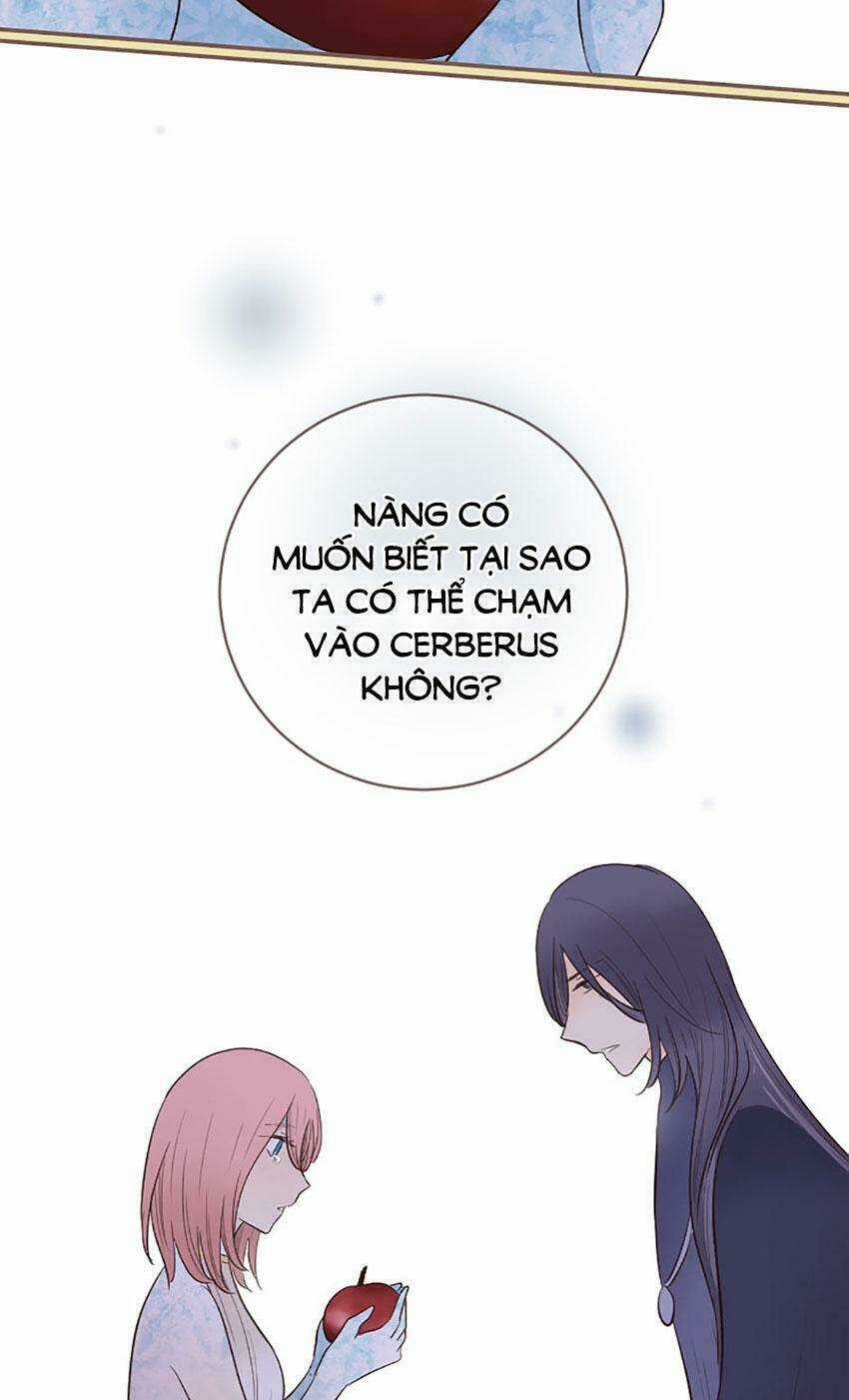 Nàng Persephone và chàng Hades Chapter 24 trang 16