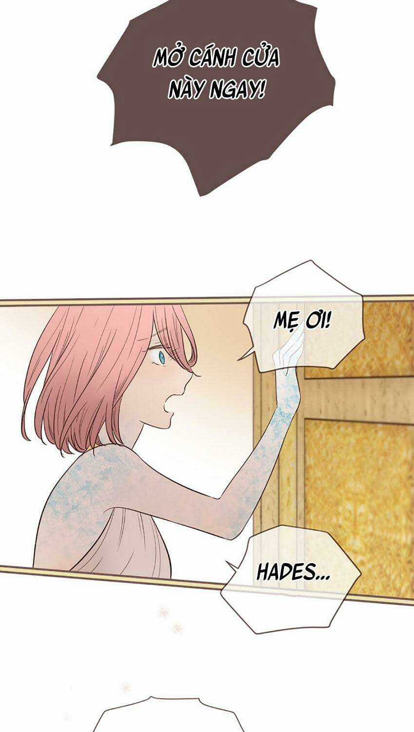 Nàng Persephone và chàng Hades Chapter 24 trang 42