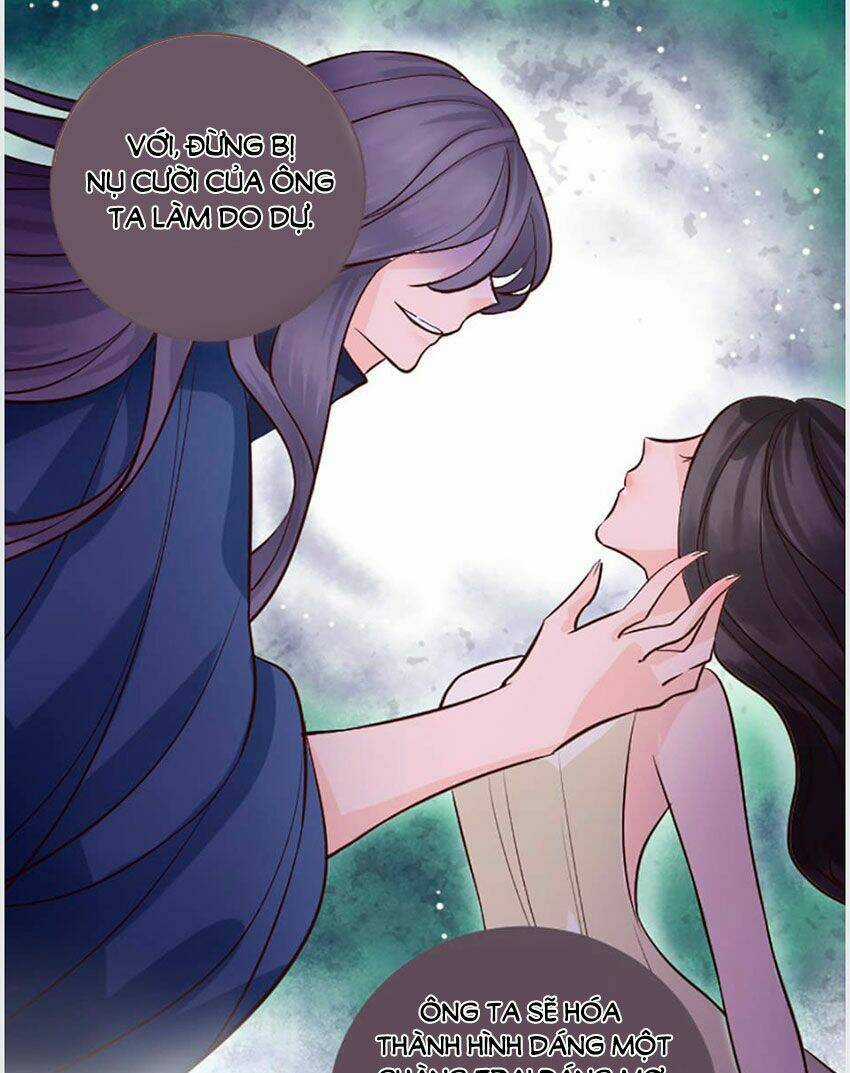 Nàng Persephone và chàng Hades Chapter 3 trang 15
