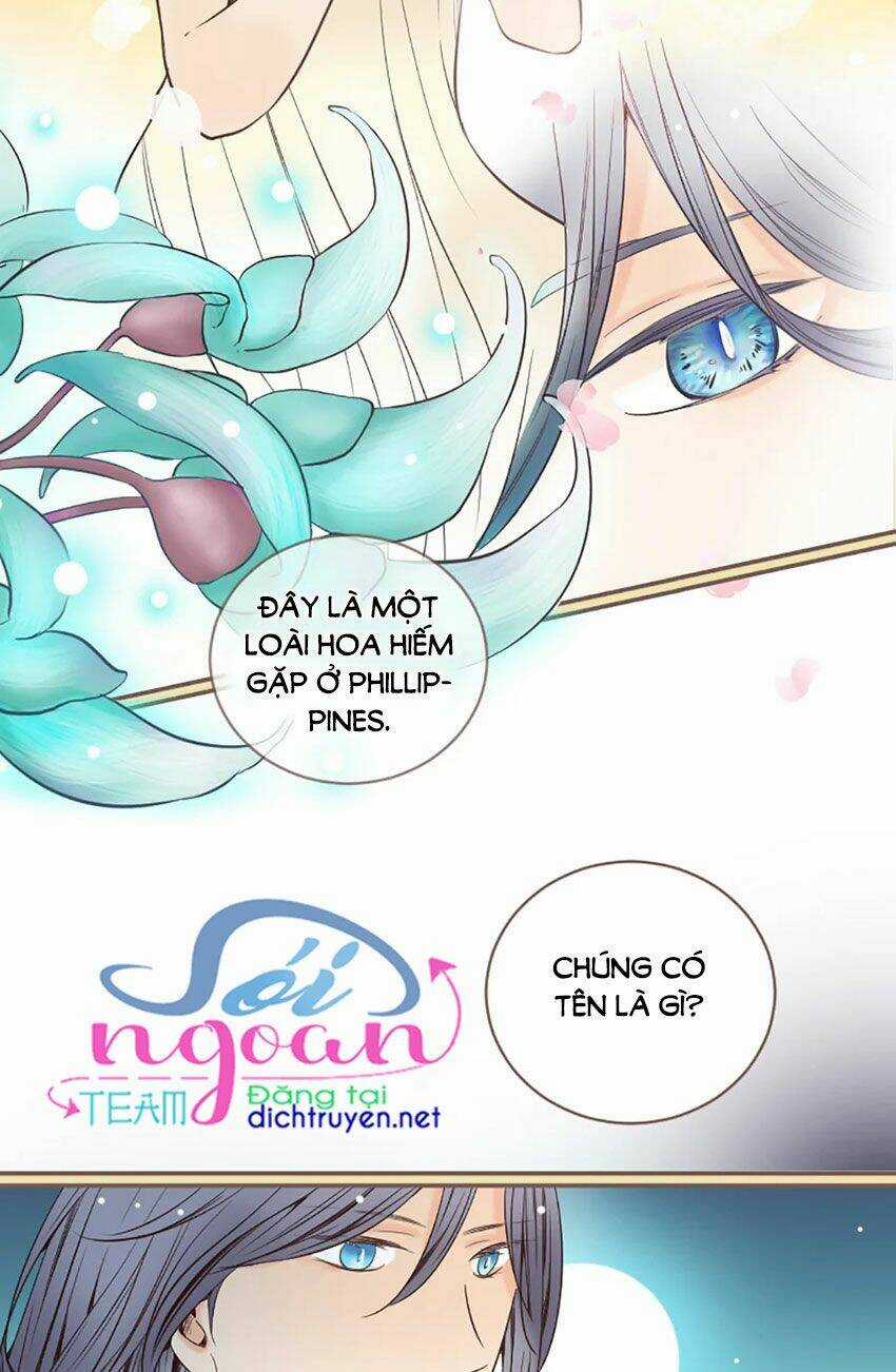 Nàng Persephone và chàng Hades Chapter 8 trang 48