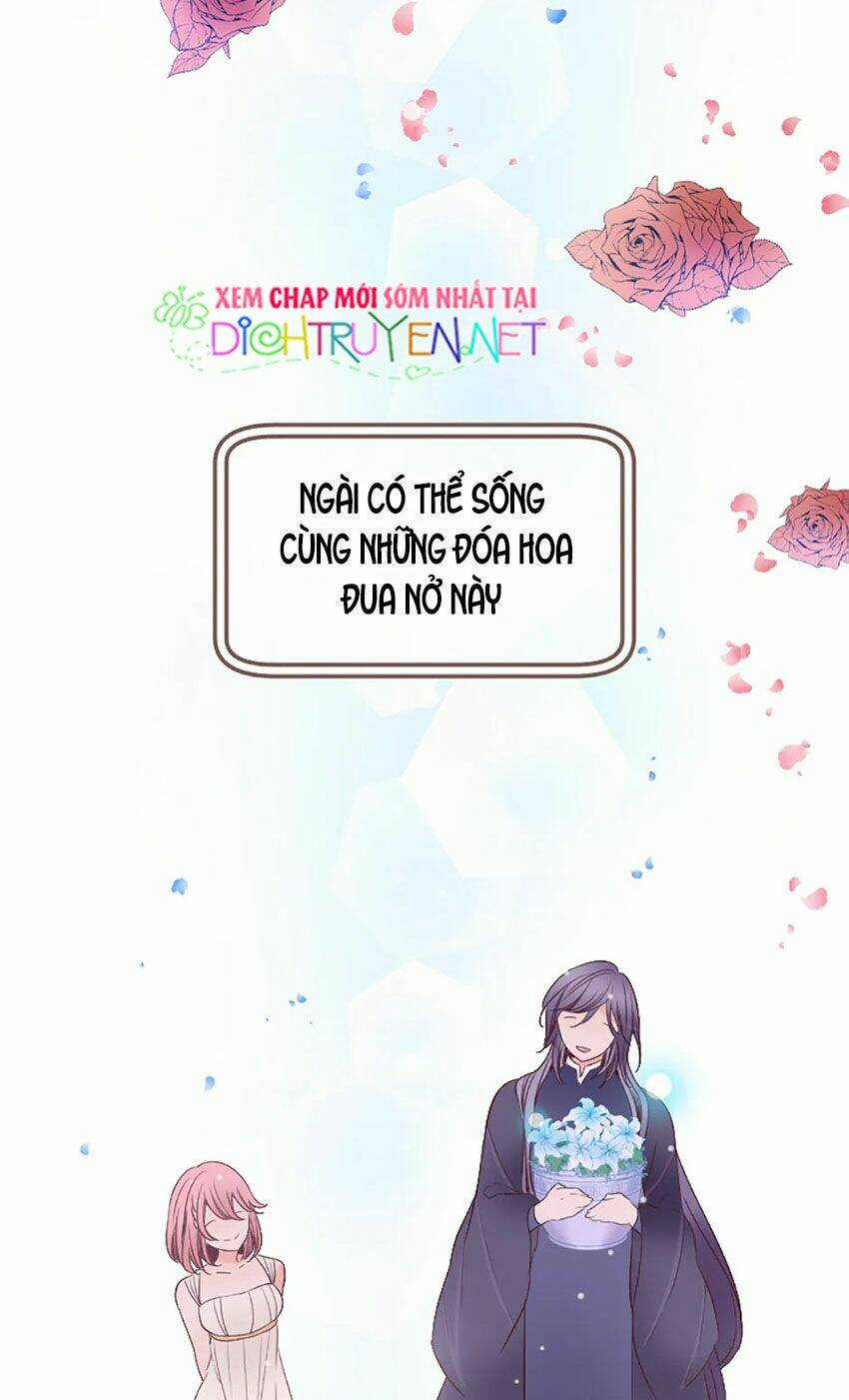 Nàng Persephone và chàng Hades Chapter 9 trang 48