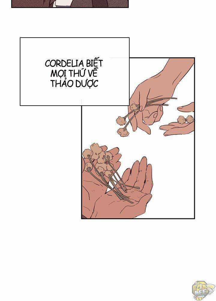 Nàng Phù Thủy Của Tôi Chapter 1 trang 5