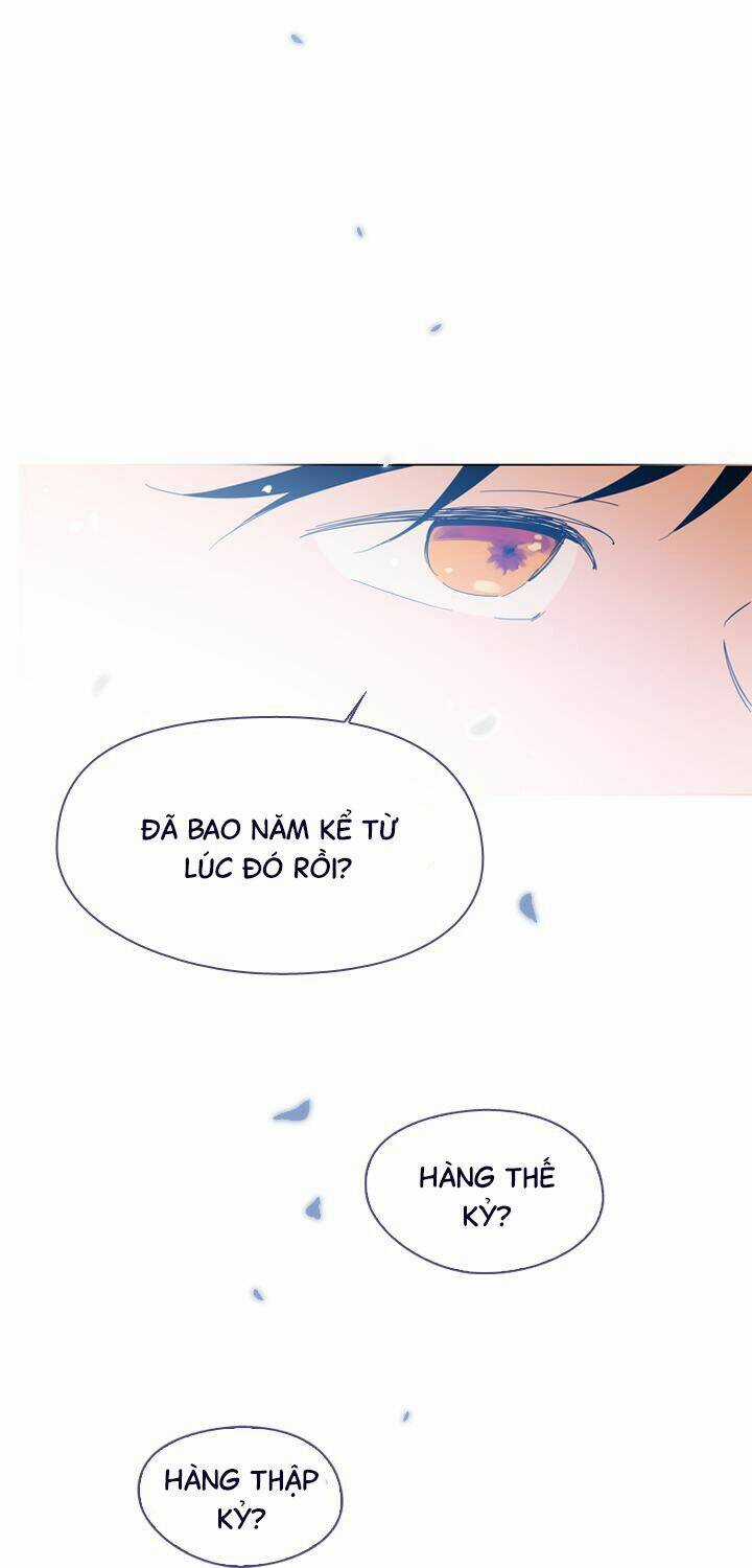 Nàng Phù Thủy Của Tôi Chapter 11 trang 22