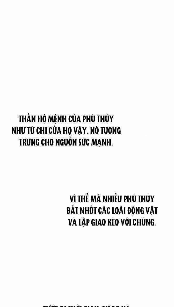 Nàng Phù Thủy Của Tôi Chapter 13 trang 3