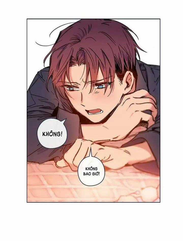 Nàng Phù Thủy Của Tôi Chapter 62.1 trang 13