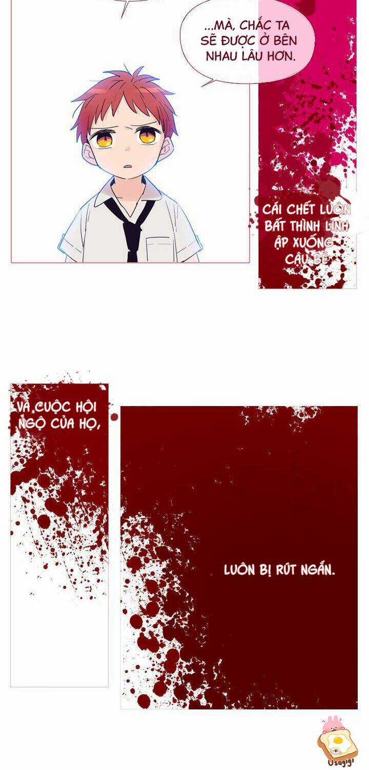 Nàng Phù Thủy Của Tôi Chapter 8 trang 21