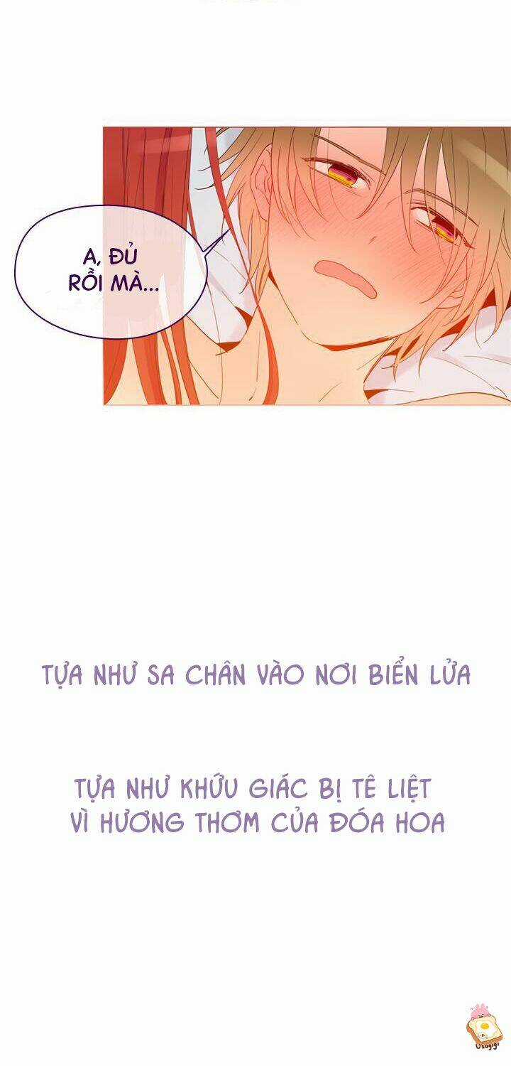 Nàng Phù Thủy Của Tôi Chapter 8 trang 24