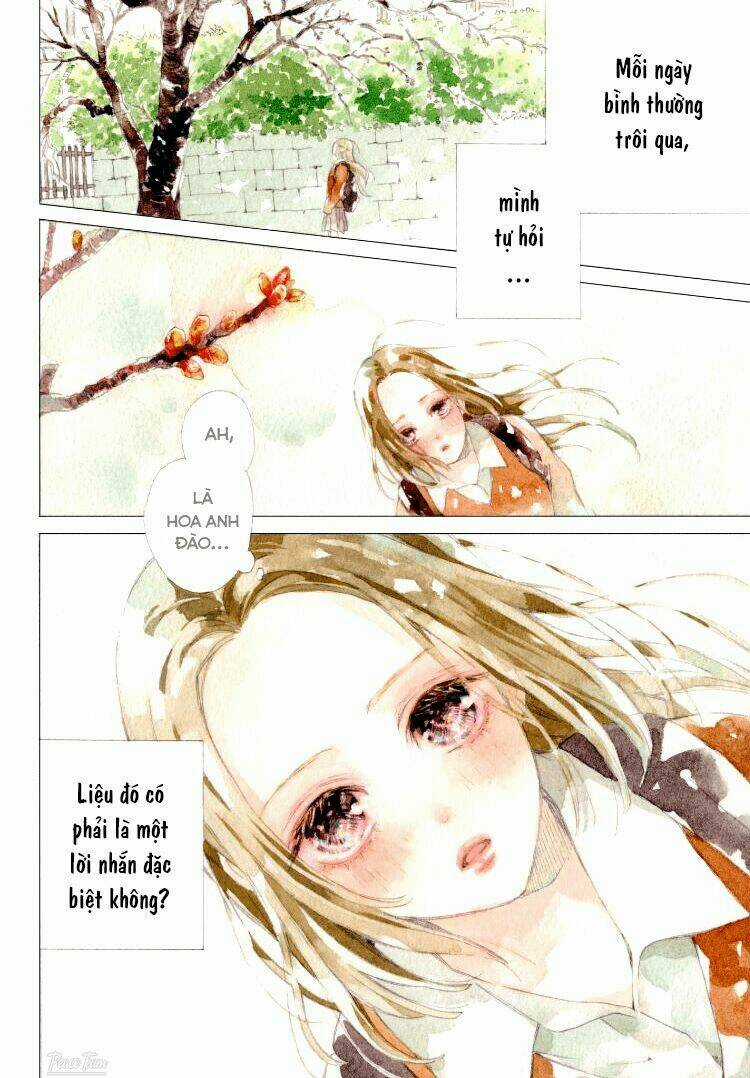 Nàng Tiểu Thư Và Chàng Vệ Sĩ Chapter 1 trang 4