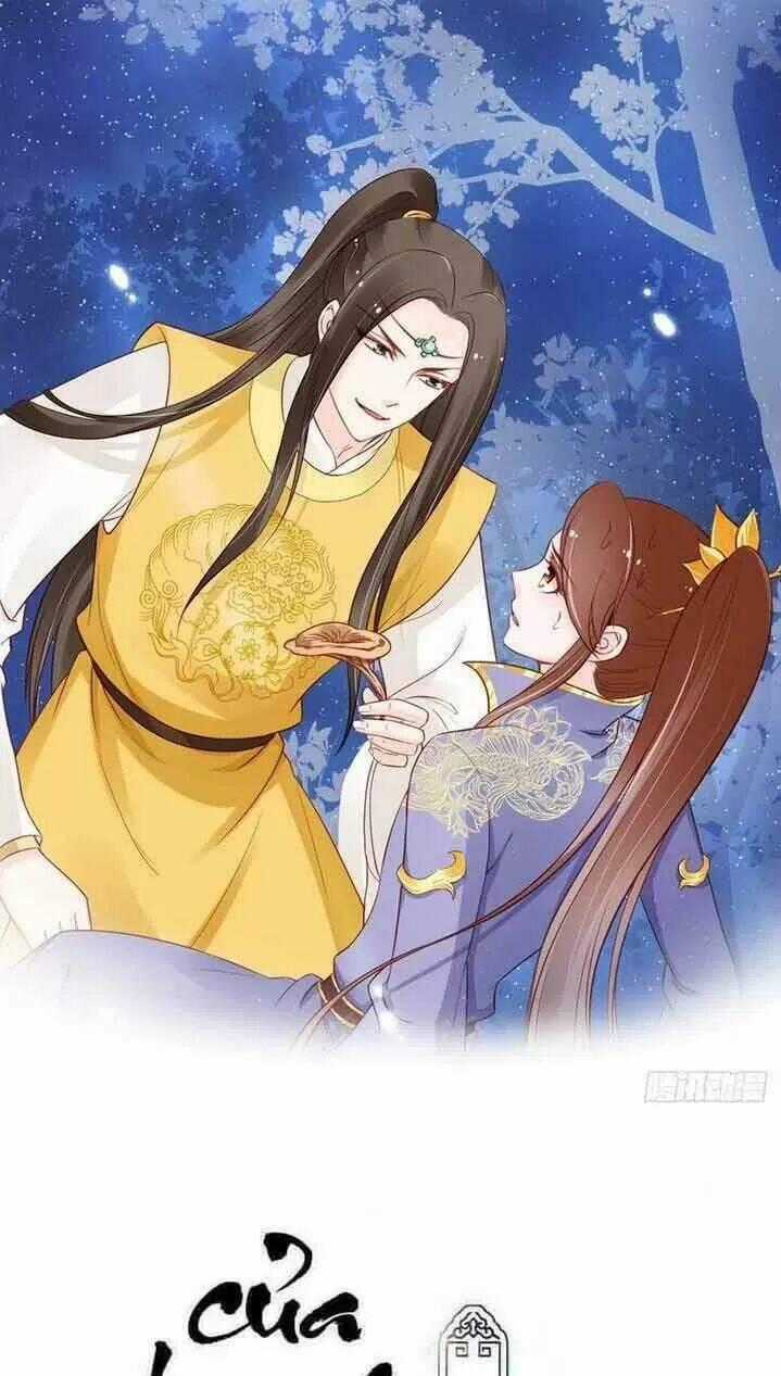 Nàng Trở Thành Bạch Nguyệt Quang Của Vương Gia Bệnh Kiều Chapter 33 trang 0