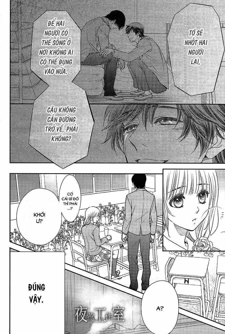 Nanoka No Kare Chapter 61 trang 6