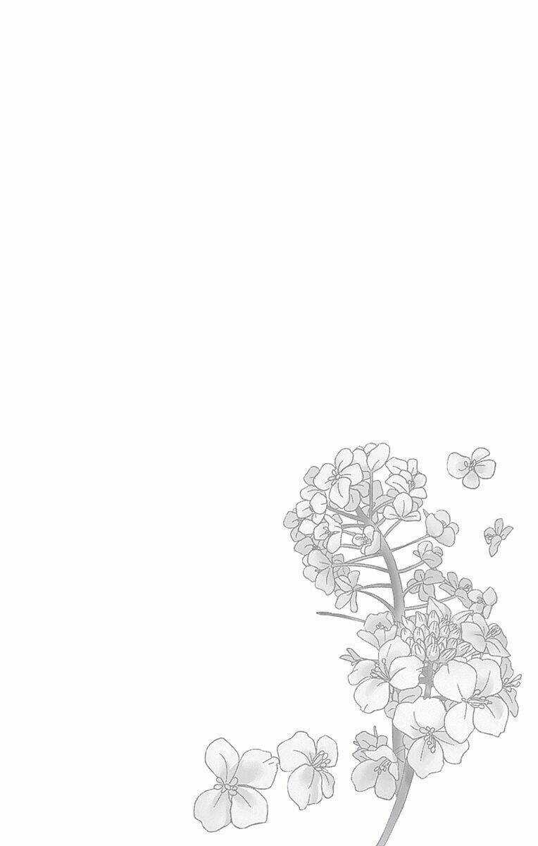 Nanoka No Kare Chapter 72 trang 2