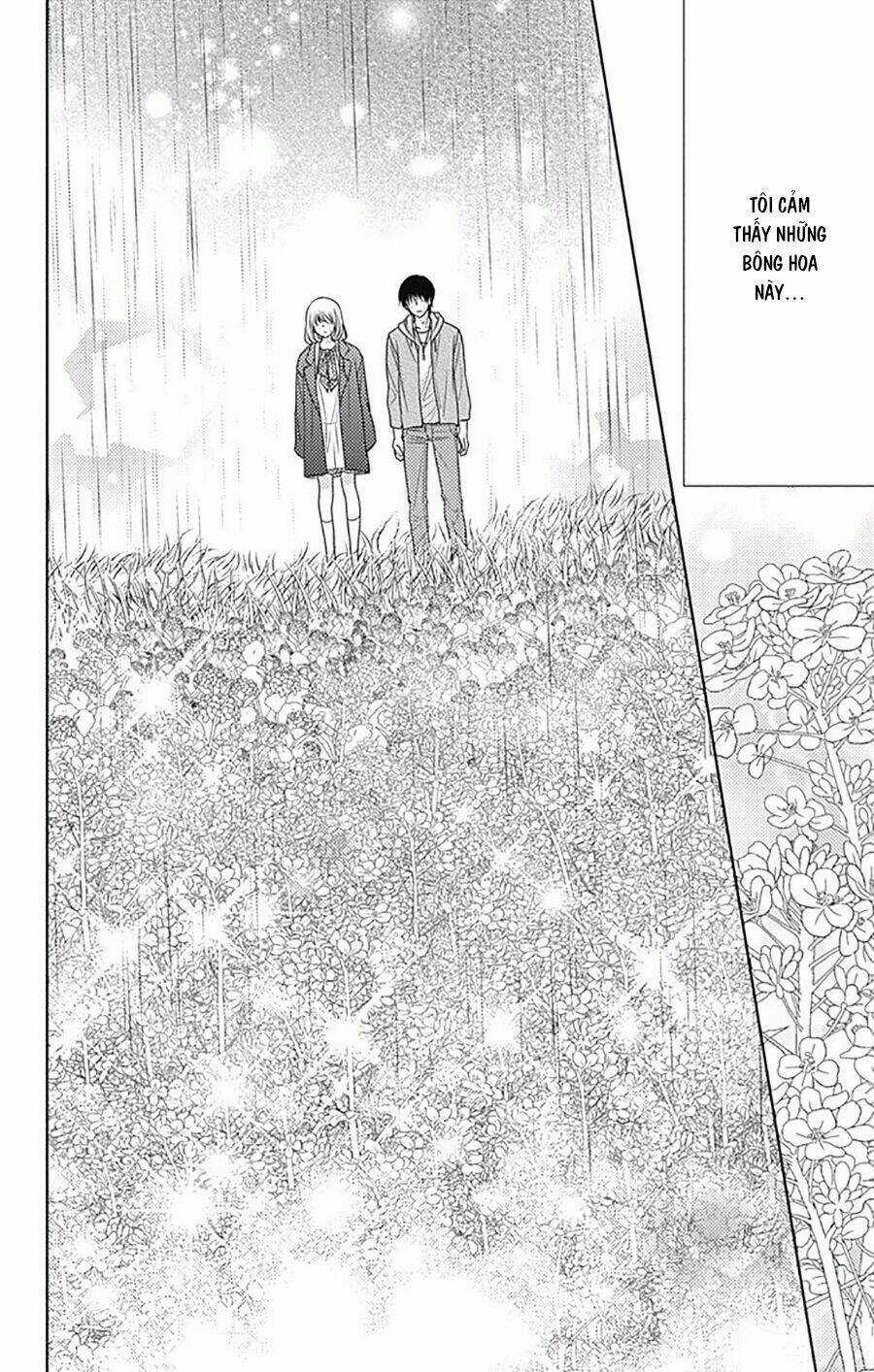 Nanoka No Kare Chapter 77 trang 5