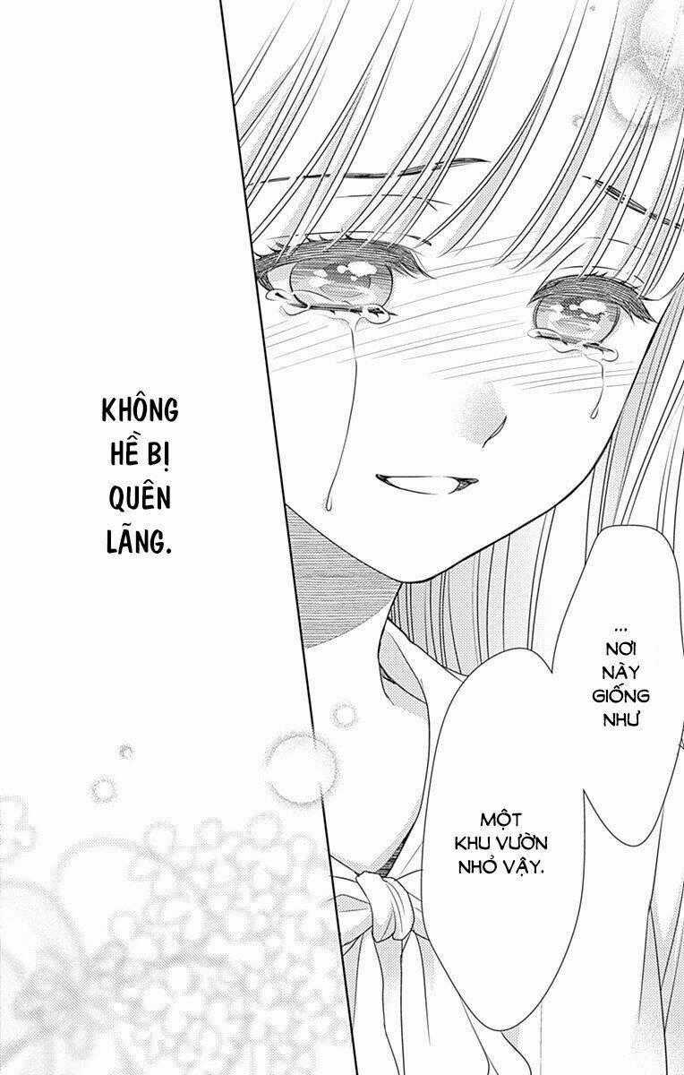 Nanoka No Kare Chapter 84 trang 43