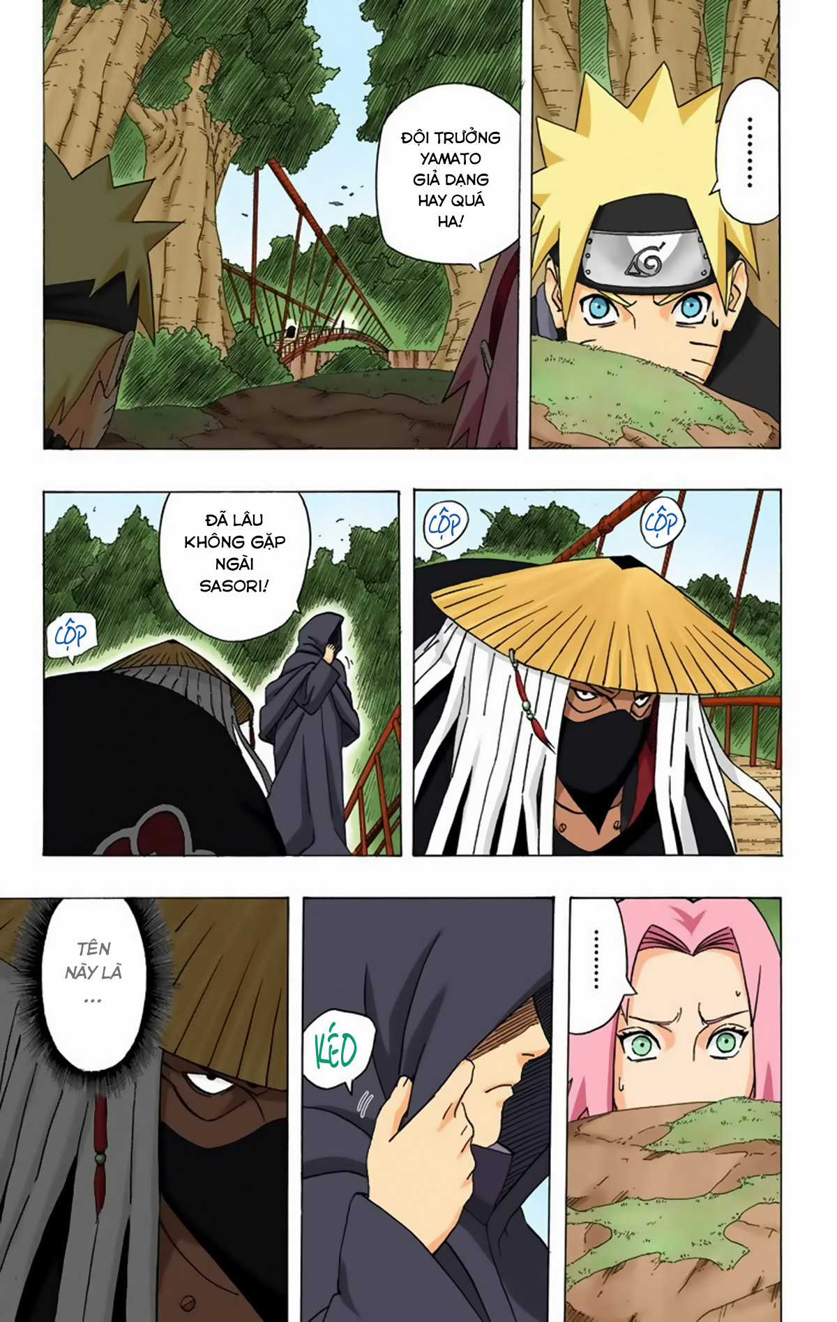 Naruto Full Color Edition Chapter 289 trang 11