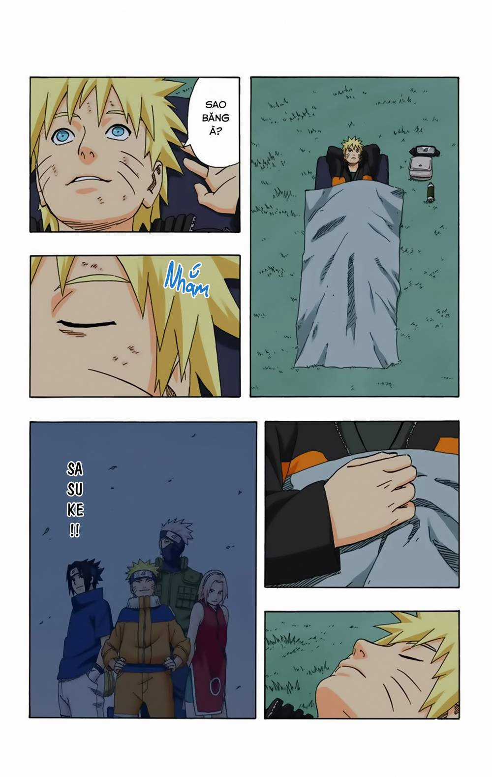 Naruto Full Color Edition Chapter 319 trang 13