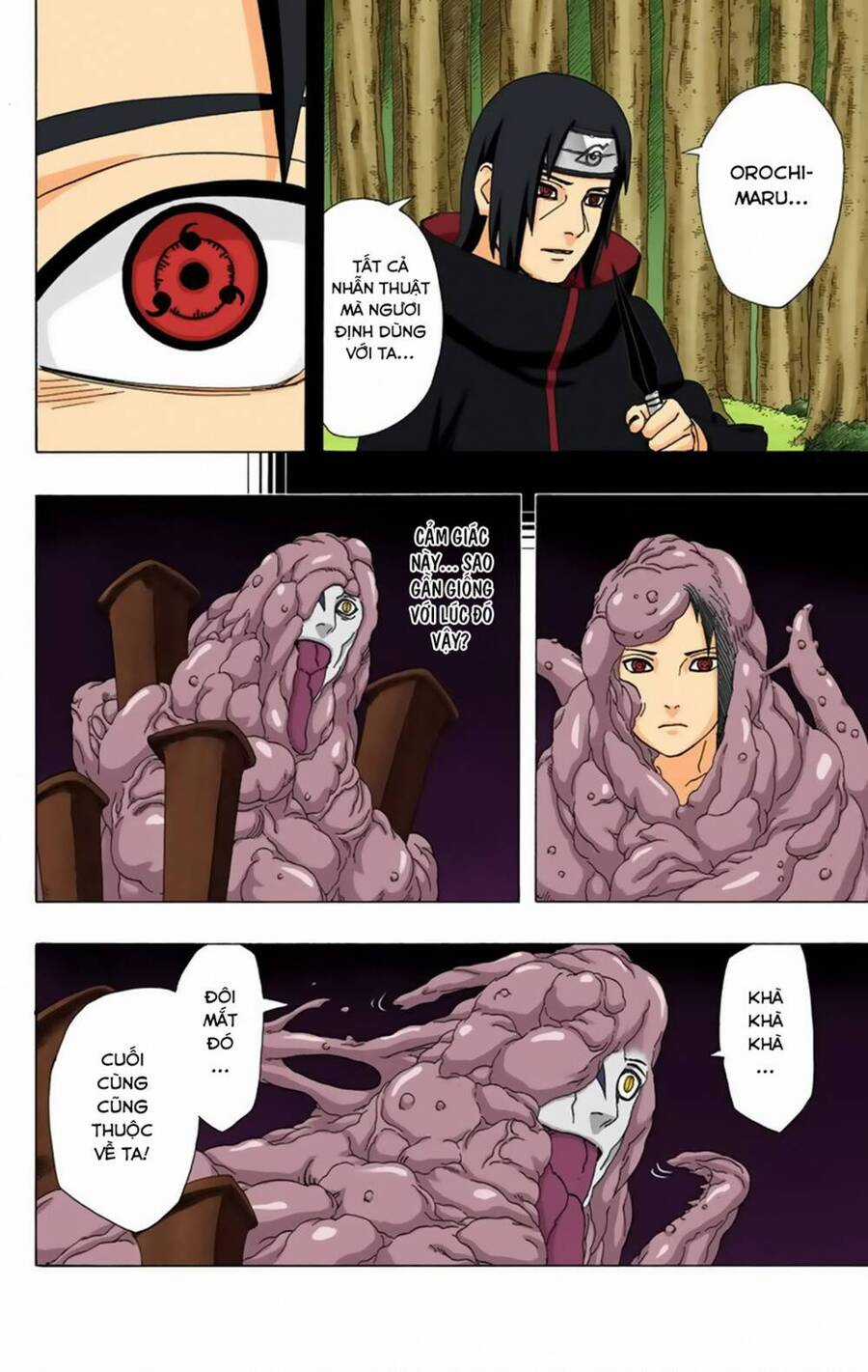 Naruto Full Color Edition Chapter 345 trang 10