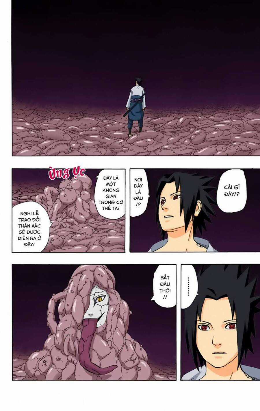 Naruto Full Color Edition Chapter 345 trang 6