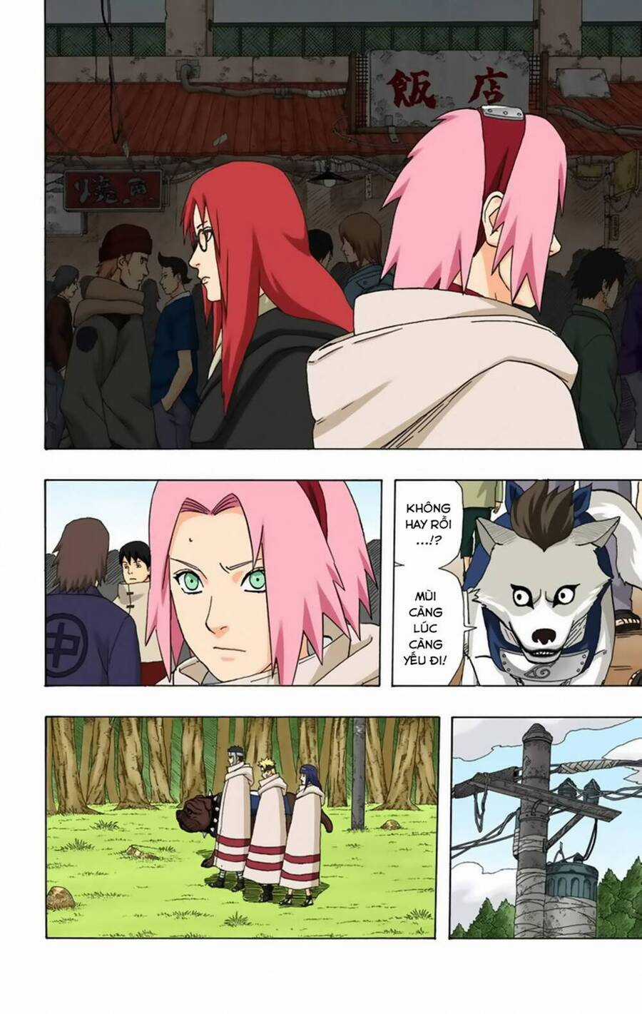 Naruto Full Color Edition Chapter 356 trang 6